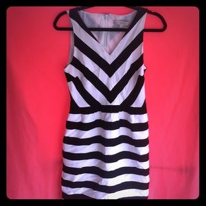 Ann Taylor Loft Black and White Dress